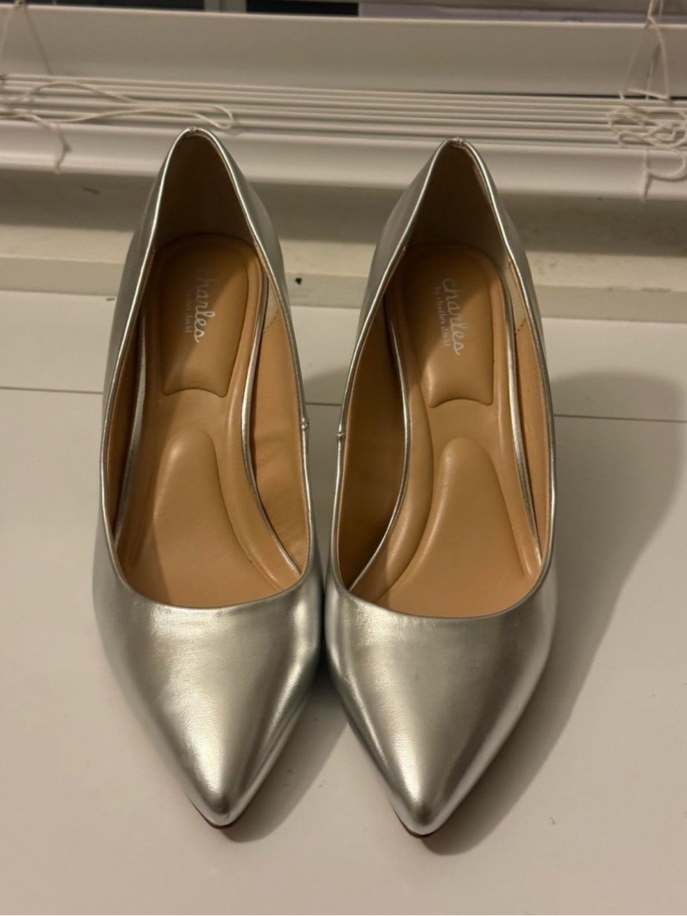Charles Silver Metallic Pointed-Toe Pumps